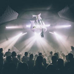 Human Resource at 25 years of Multigroove