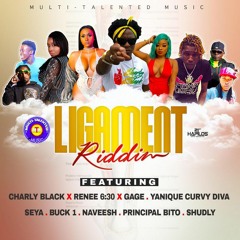Yanique Curvy Diva - Priority (Raw) [Ligament Riddim]