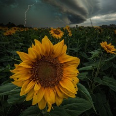 4 AM Prod(sketchmyname)