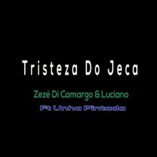 Zezé di Camargo e Luciano em ritmo de arrocha REMIX - Arrocha