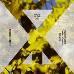 Dimensions I [XYZ007]