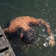 tell me more abut your trip (remastered)