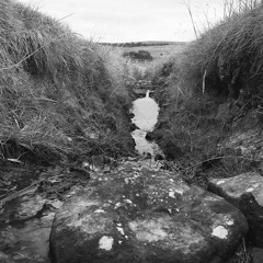 Liquidate - Reboot Mix