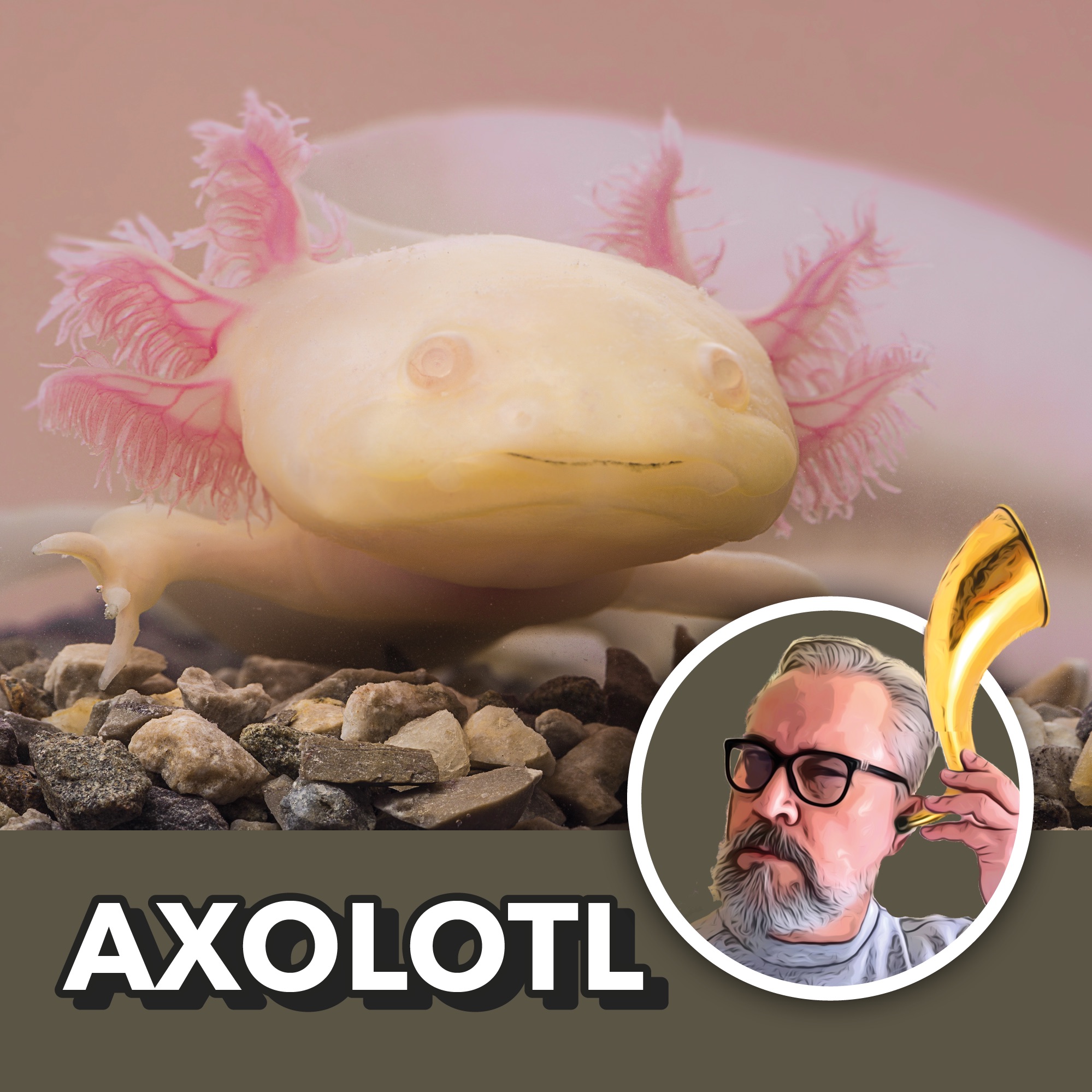 Axolotl, by Julio Cortázar