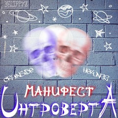 Манифест Интроверта