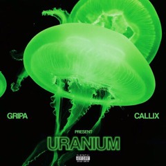 Uranium (Gripa x Callix)