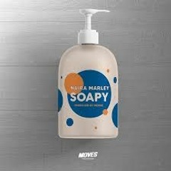 Naira Marley - SOAPY [Audio]