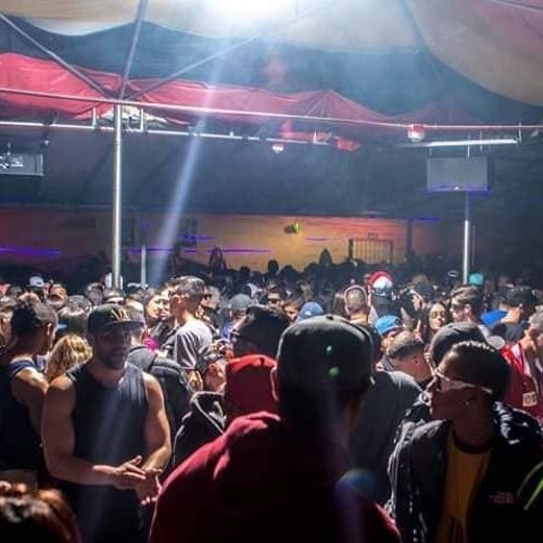 PUG - X #Set Espaço Verão 002