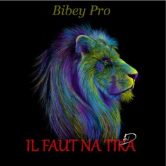 Bibey Pro ft. All Perra Il Faut Na Tika