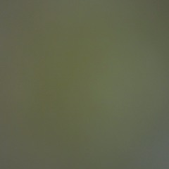 6. We Winning - Feat: King Prodigy & DC