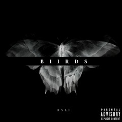 B I I R D S