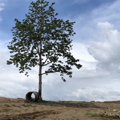 Pack Your Bags (with SHAiAn on vocals)