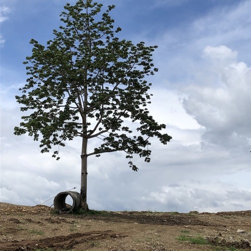 Pack Your Bags (with SHAiAn on vocals)