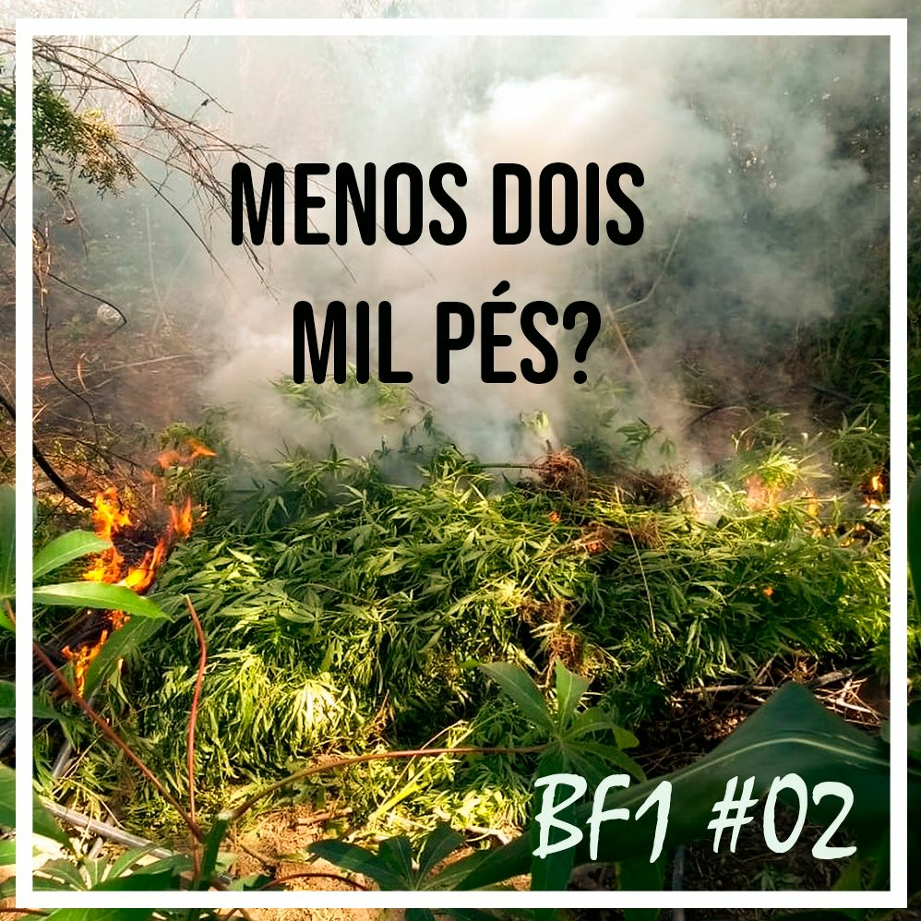 PotCast Hempadão