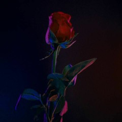 @1001Sadie "Fuck My Ex" (Prod. Alex$ander Beats)