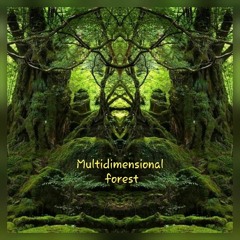 Multidimensional Forest