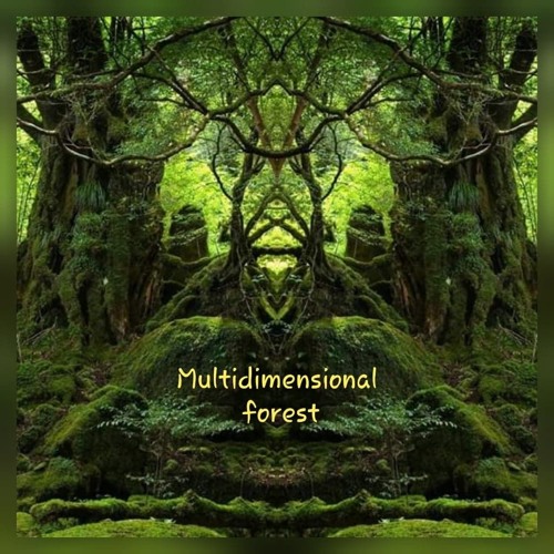 Multidimensional Forest