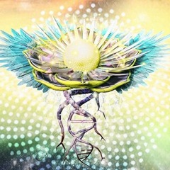 Harmonic Festival 2019_Liveset