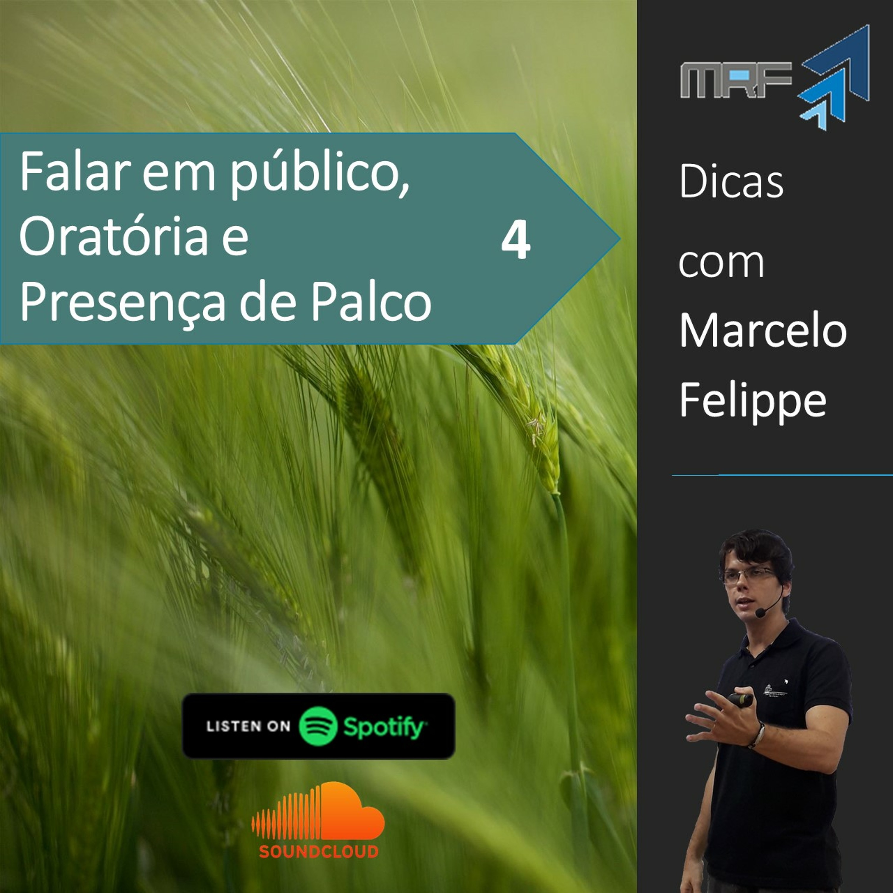 Marcelo Felippe