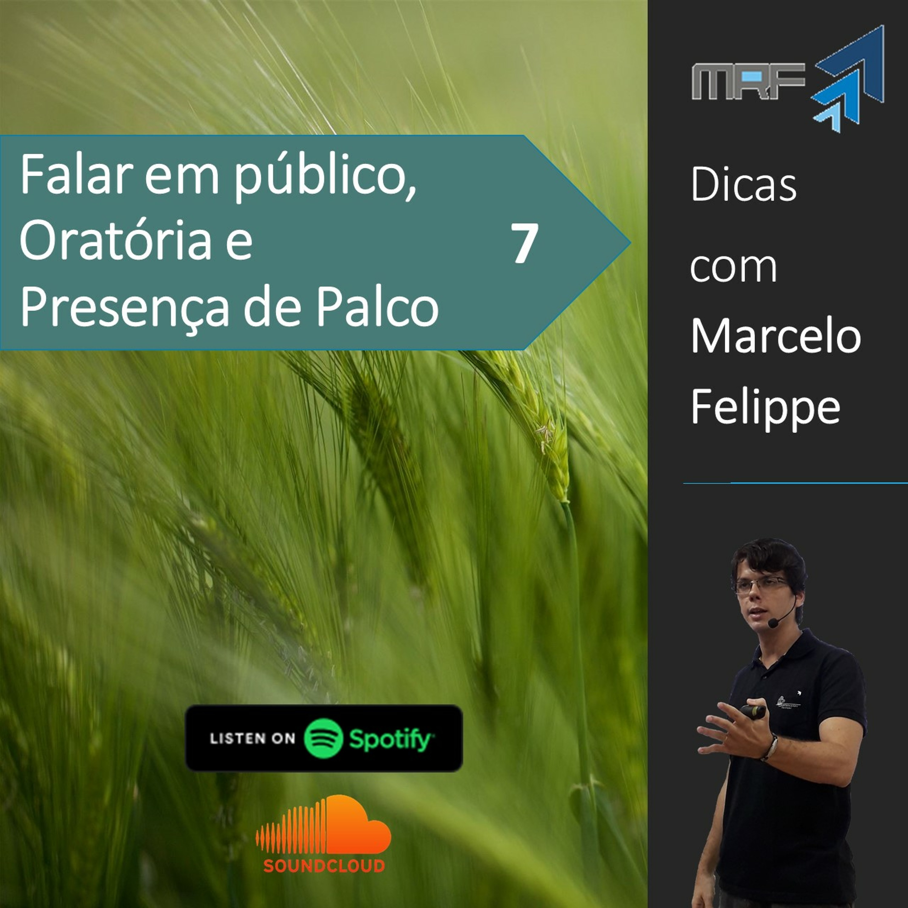 Marcelo Felippe