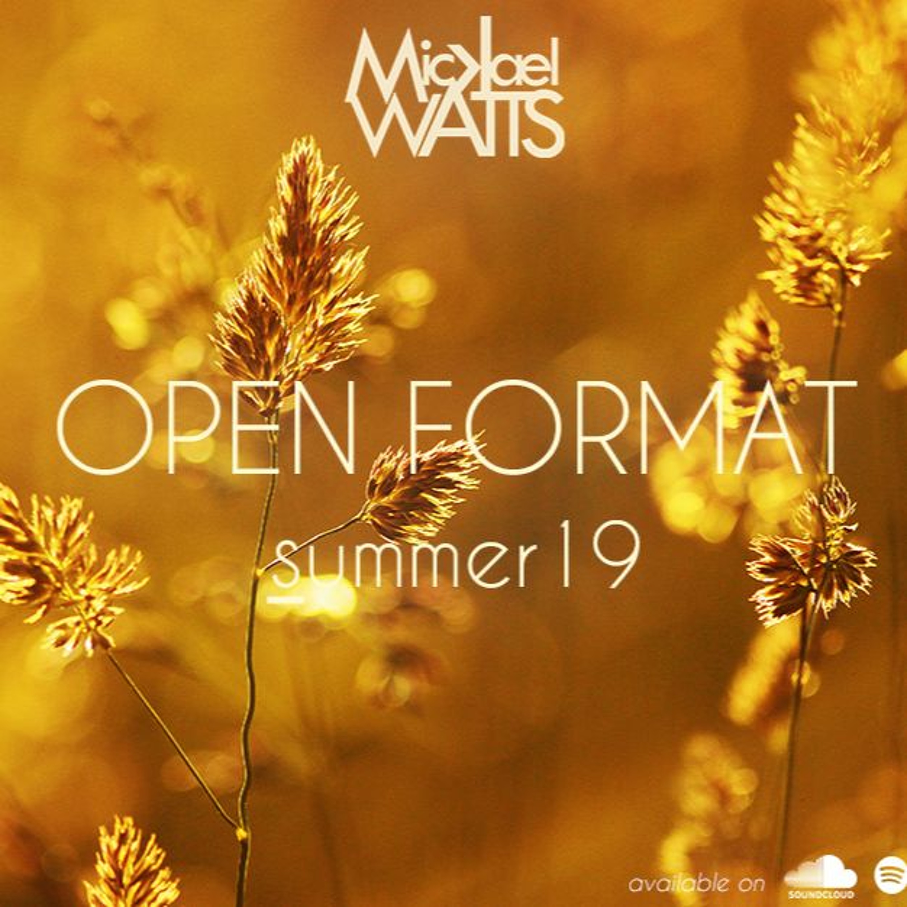 Open Format
