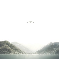 Past Var. 1