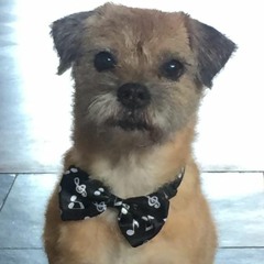 Isn't She Lovely - cover van cover (Stevie Wonder -> Tom Misch -> Stan)