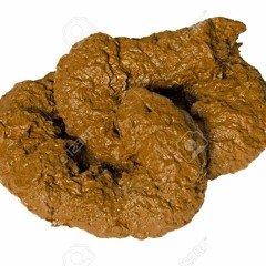 Shittin on deez nibbaz yadiiiiig