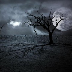 DISTO corozif -  THE NIGHTMARE
