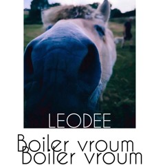 Leodee - BOILER VROUM SET