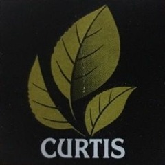 Curtis