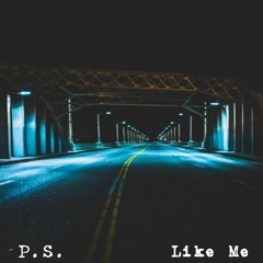 P.S. - Like Me