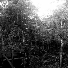 Go-z - Mental Jungle ( Original Mix )