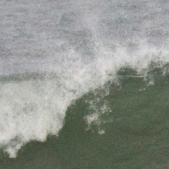 Windsurfing with Roy Orbison