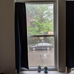 Summer Rain