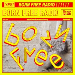 BORN FREE Radio 29 - DJ Mike Galo