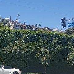 hollywood (prod. luke brady) - avi