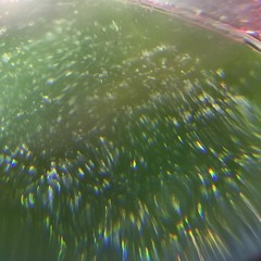 Ending Precedence Excerpt