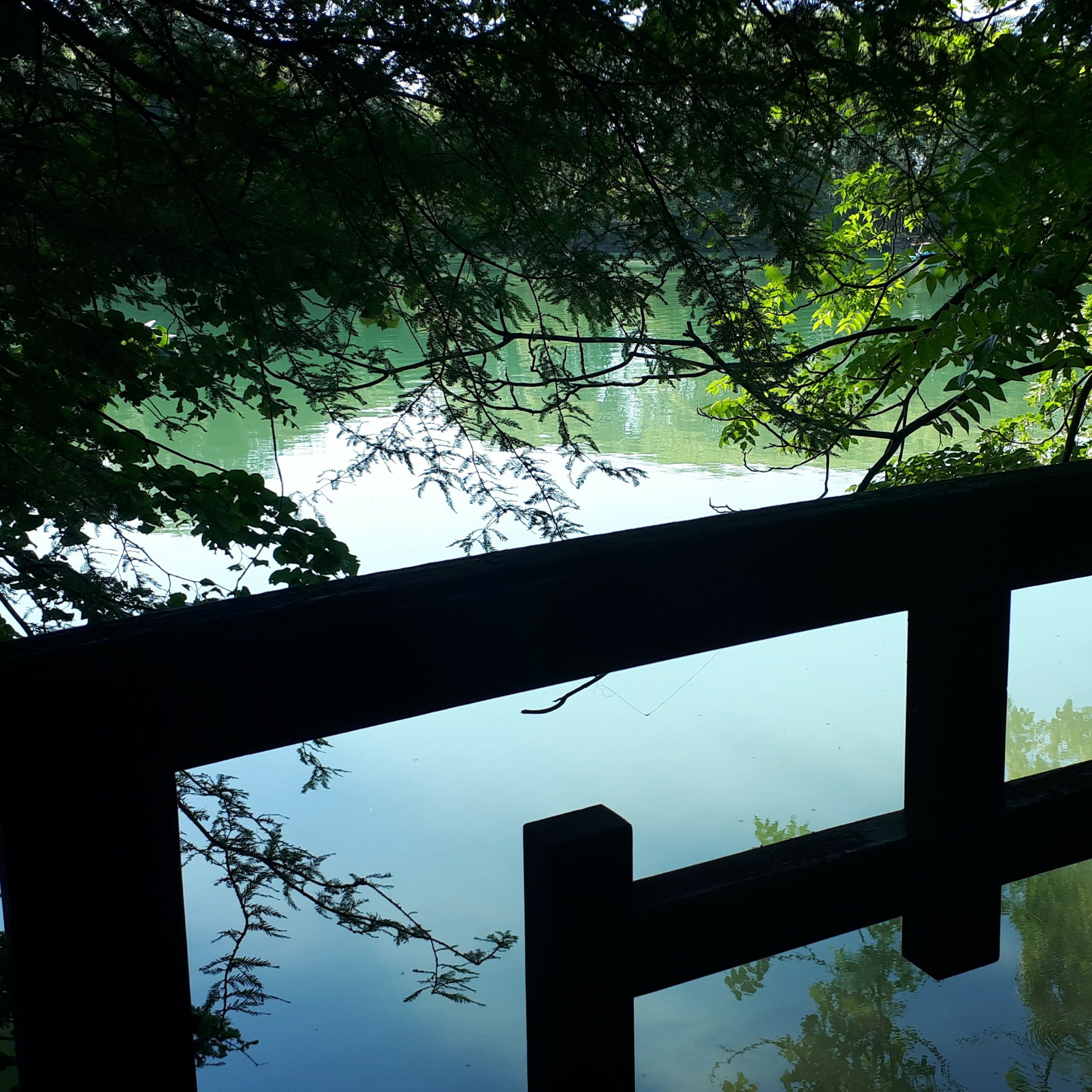 La mare aux canards