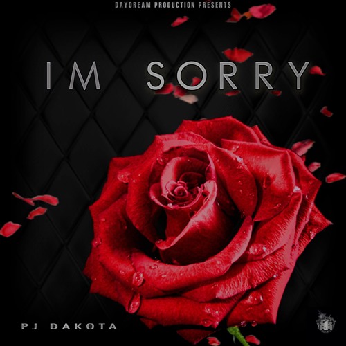 I'm Sorry by PJ DAKOTA | Free Listening on SoundCloud