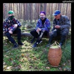 Лазерная Борода - За Грибами (Официальный минус)