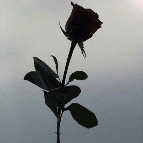 Anymore