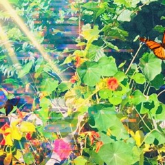 Schachmusik Live @ Deichbrand 2019 Green Circus