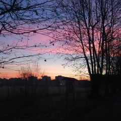 All i've left behind