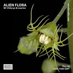 Alien Flora w/ Chlorys & Leerinc ─ Noods Radio (18.07.19)