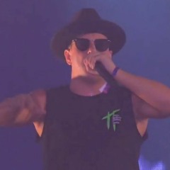 Dimitri Vegas & Like Mike vs. Timmy Trumpet - The Anthem (Der Alte)