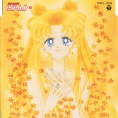 Moonlight Densetsu ~Piano Fantasia Version~