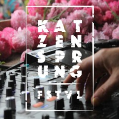 Denny S @ Katzensprung Festival 2019 / Rudis Garten