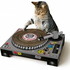 10. Nitrous Oxide - Spring is Always Somewhere Else (Dan Stone Extended Mix)
