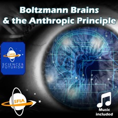 Boltzmann Brains